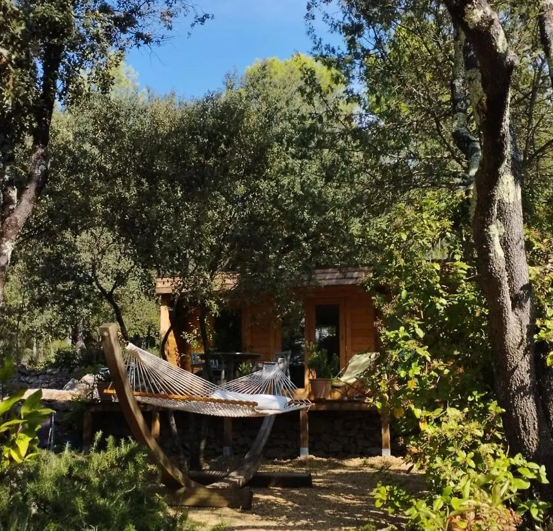 La Bergerie Des Colles Bed & Breakfast Entrecasteaux