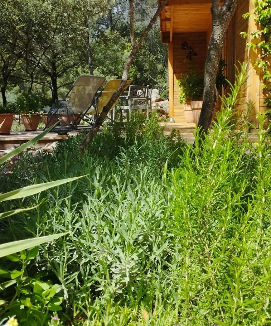 La Bergerie Des Colles Bed & Breakfast Entrecasteaux