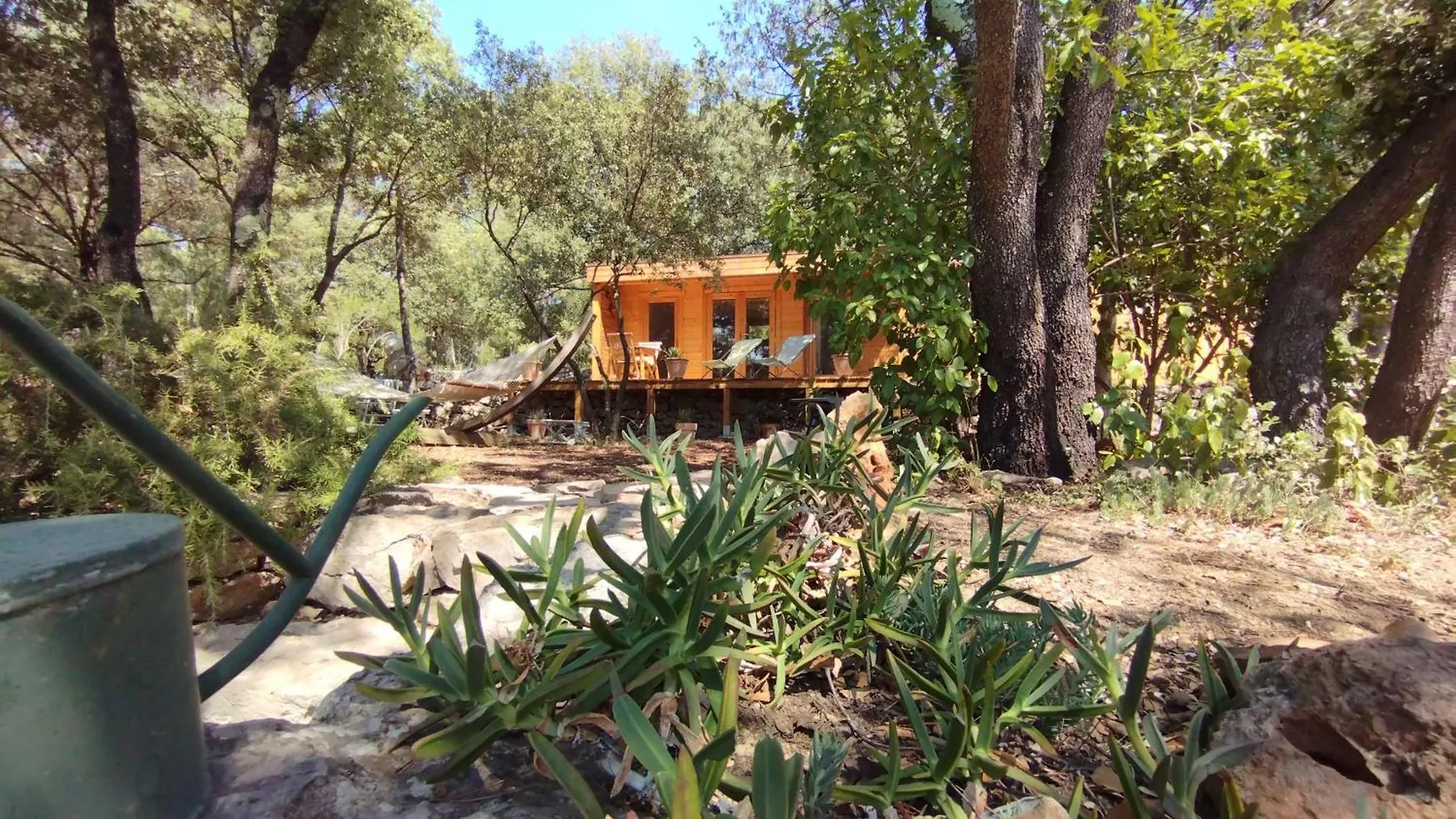 La Bergerie Des Colles Bed & Breakfast Entrecasteaux