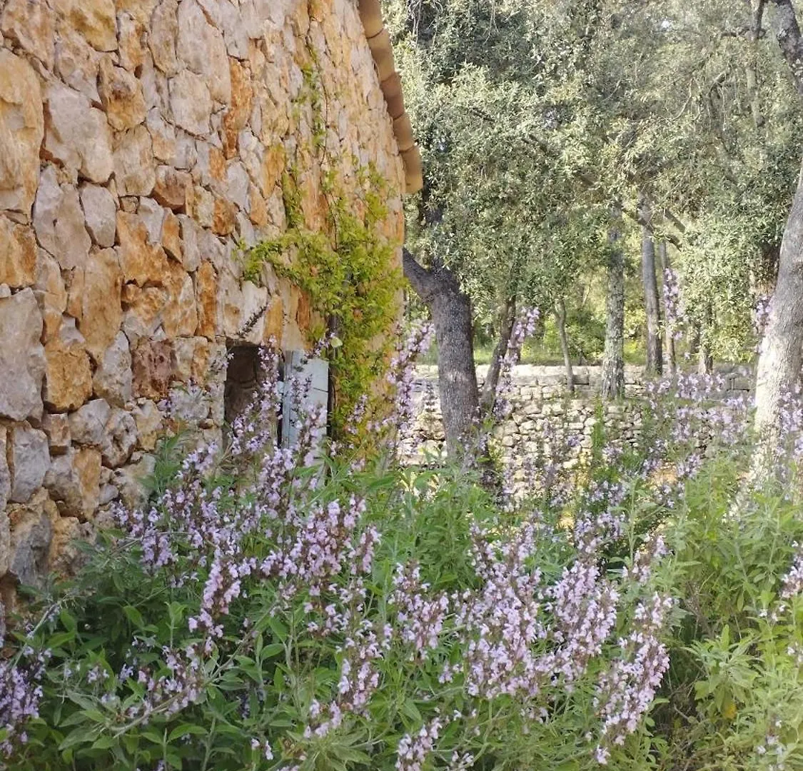 La Bergerie Des Colles Bed & Breakfast Entrecasteaux 0*,  France