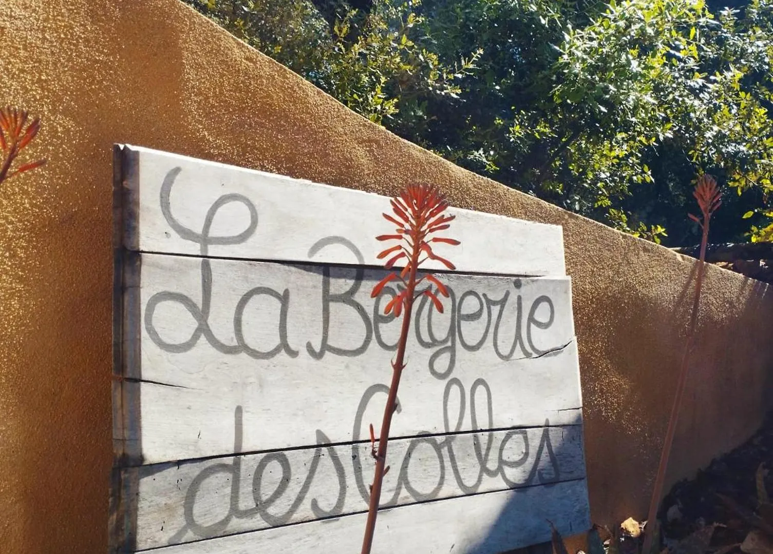 La Bergerie Des Colles Bed & Breakfast Entrecasteaux